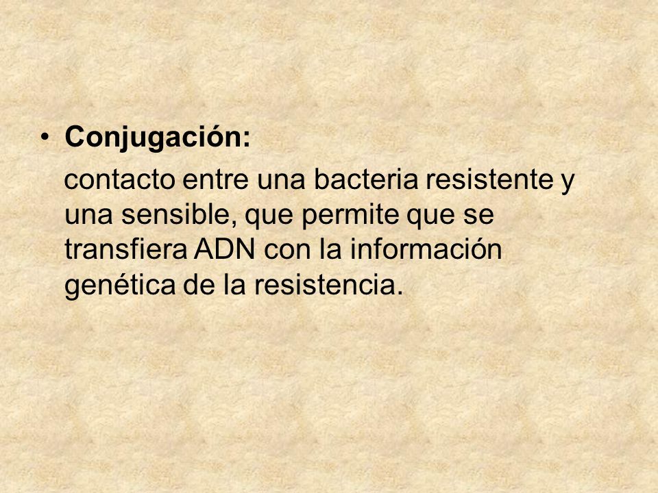 Conjugación: contacto entre una bacteria resistente y una sensible, que permite que se transfiera ADN con la información genética de la resistencia.