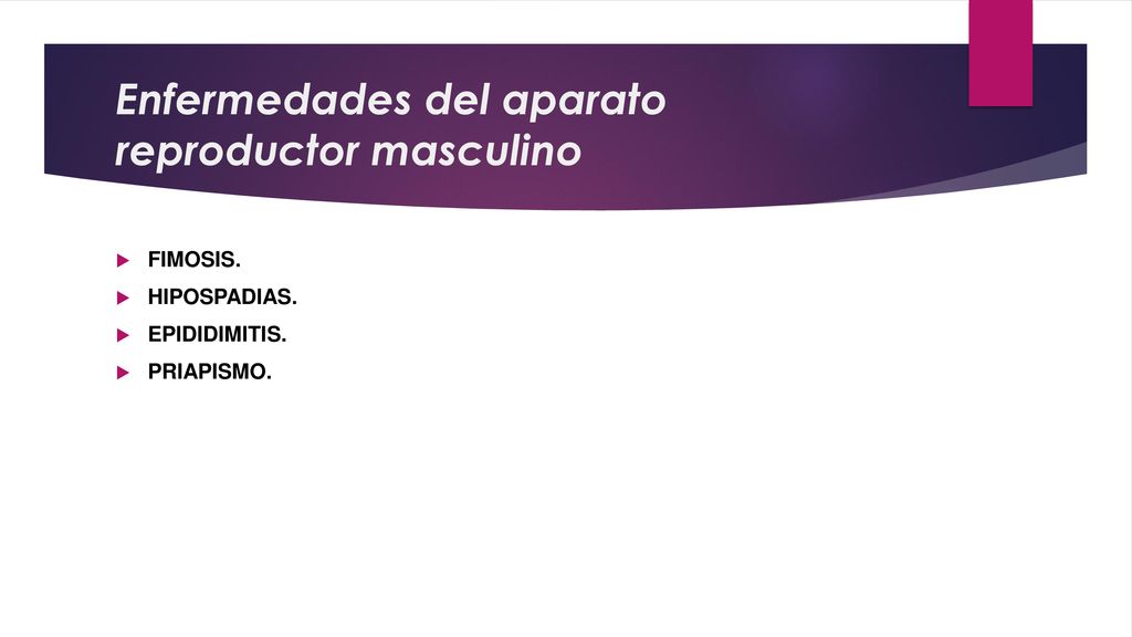 Enfermedades del aparato reproductor masculino
