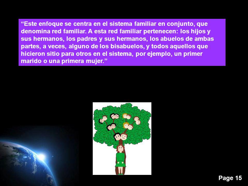 Este enfoque se centra en el sistema familiar en conjunto, que denomina red familiar.