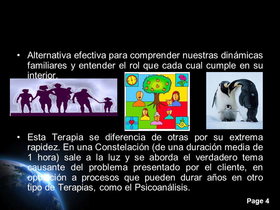 Alternativa efectiva para comprender nuestras dinámicas familiares y entender el rol que cada cual cumple en su interior.