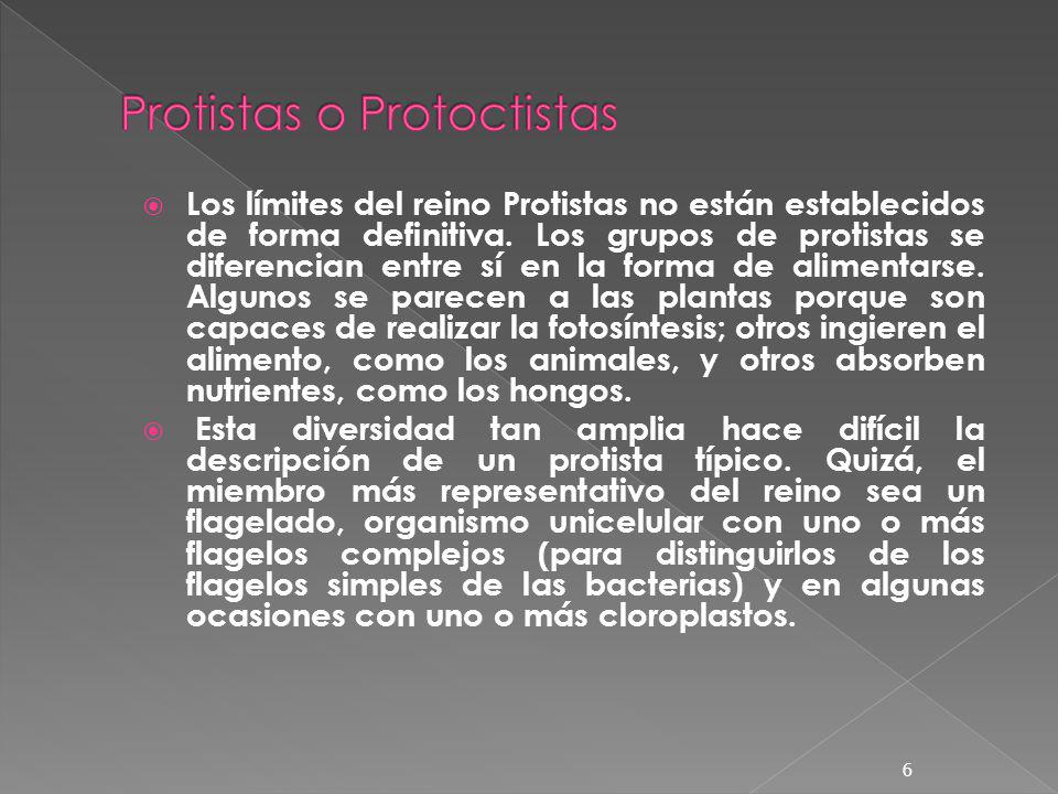 Protistas o Protoctistas