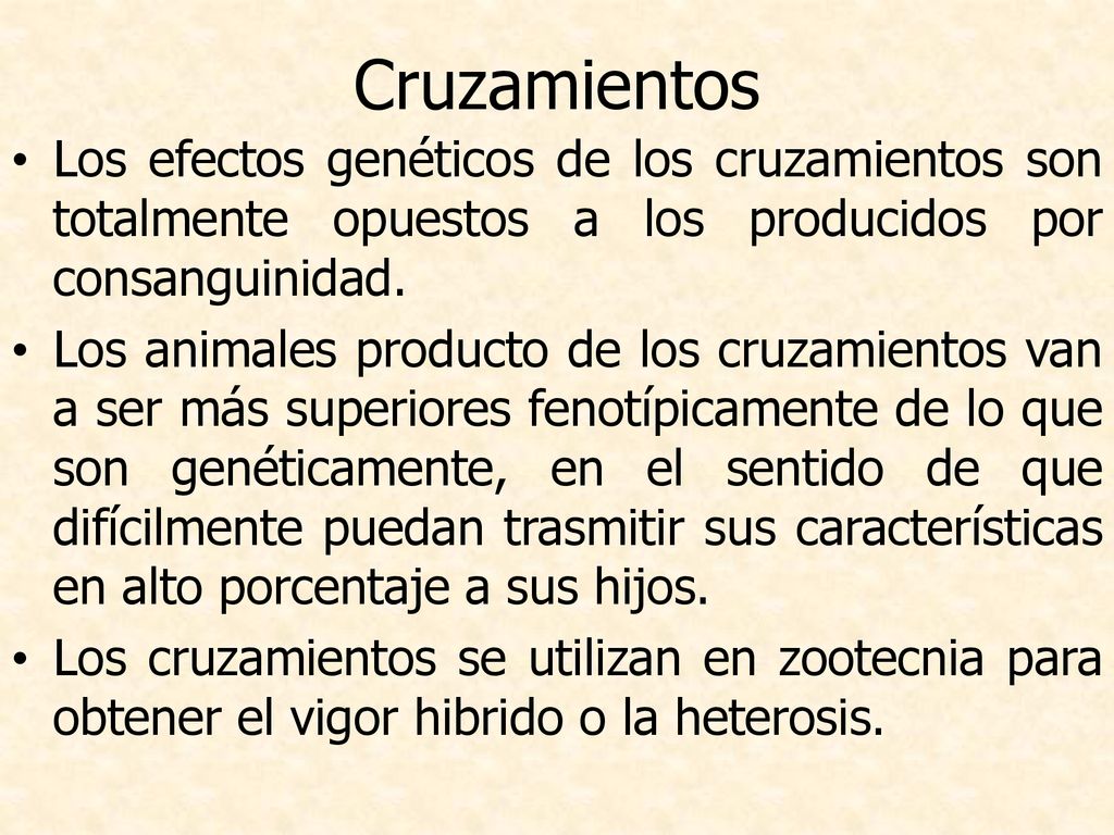 Cruzamientos Los efectos genéticos de los cruzamientos son totalmente opuestos a los producidos por consanguinidad.