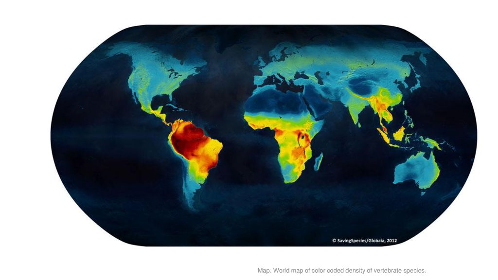 Map. World map of color coded density of vertebrate species.