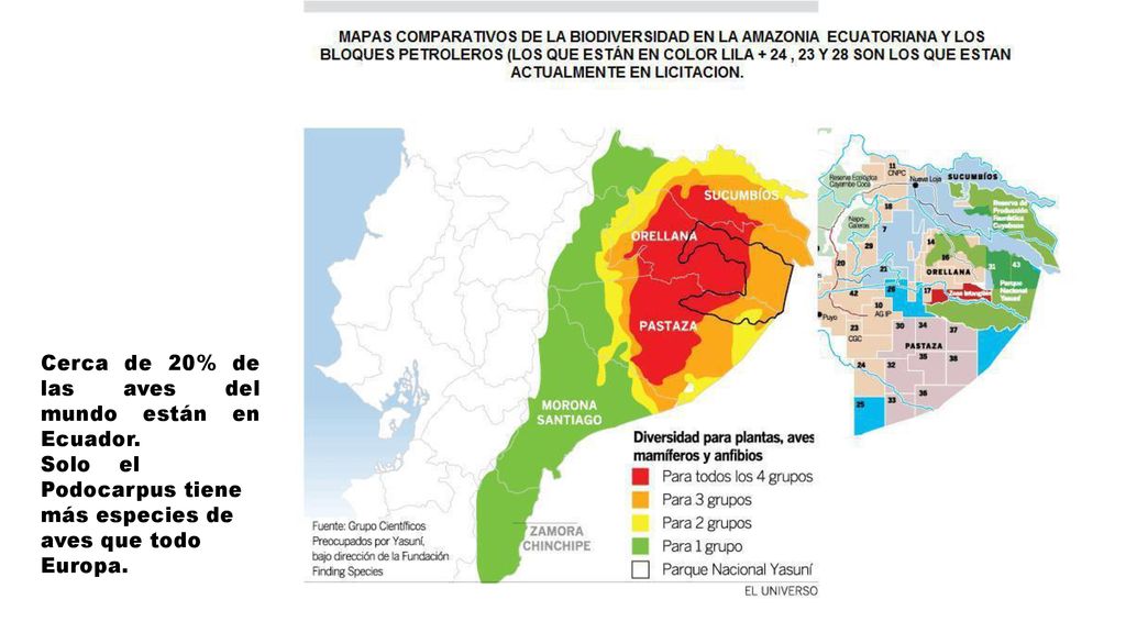 Cerca de 20% de las aves del mundo están en Ecuador.