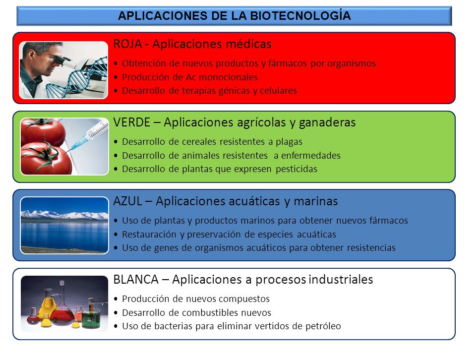 APLICACIONES DE LA BIOTECNOLOGÍA
