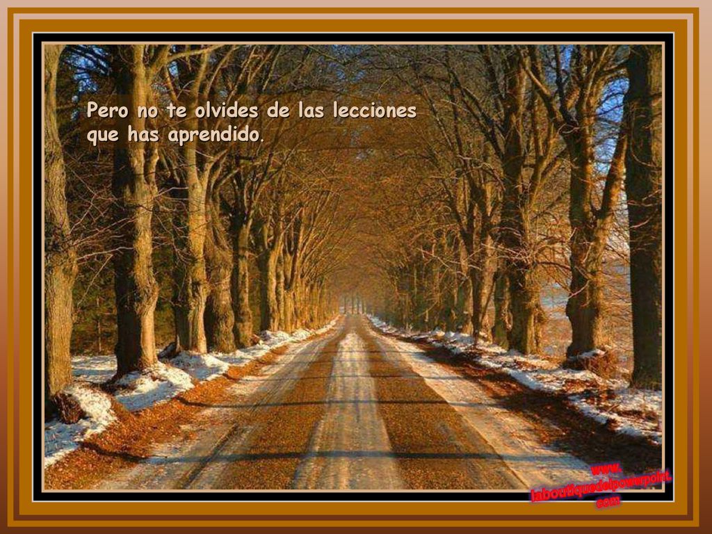 Pero no te olvides de las lecciones que has aprendido.