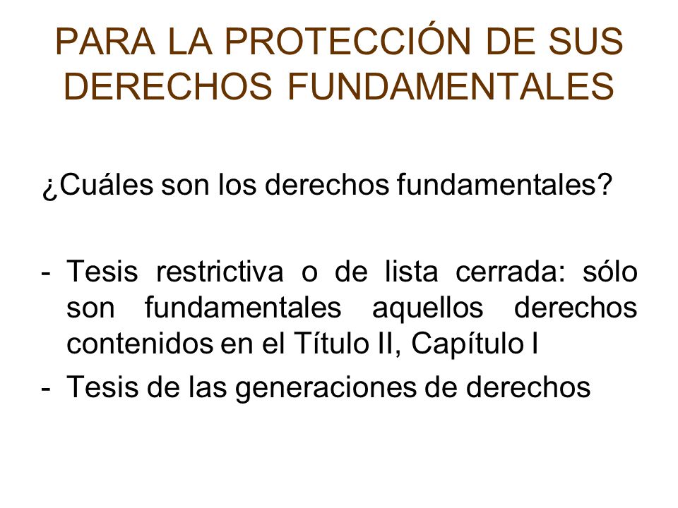 PARA LA PROTECCIÓN DE SUS DERECHOS FUNDAMENTALES