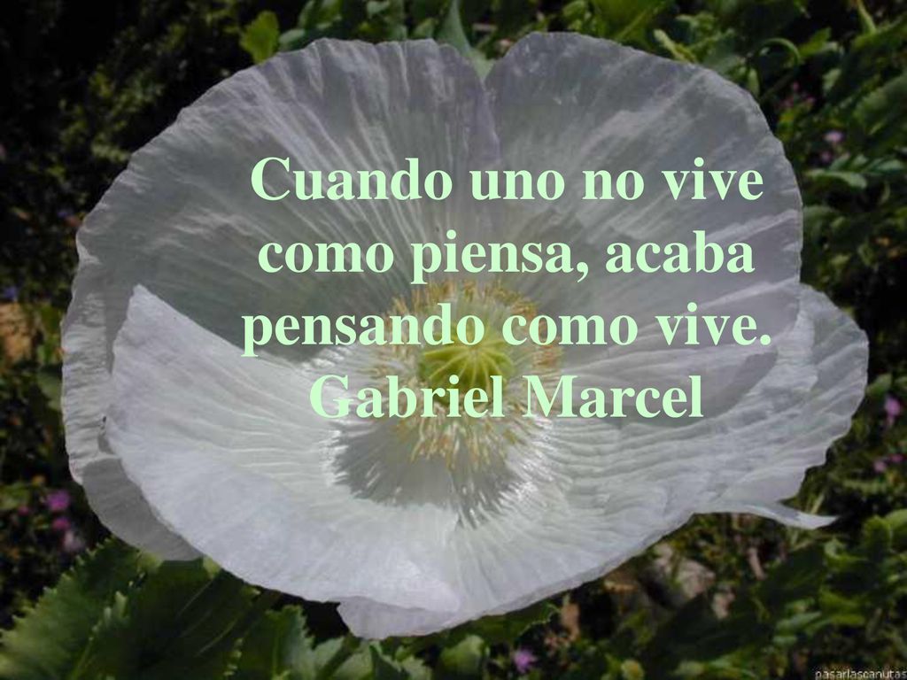 Cuando uno no vive como piensa, acaba pensando como vive