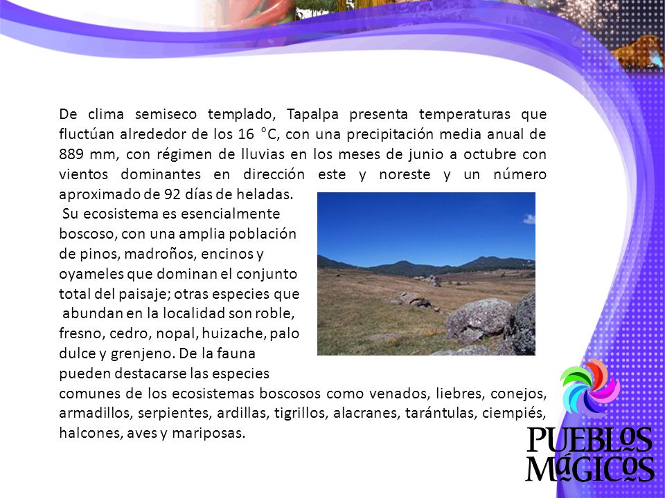 De clima semiseco templado, Tapalpa presenta temperaturas que fluctúan alrededor de los 16 °C, con una precipitación media anual de 889 mm, con régimen de lluvias en los meses de junio a octubre con vientos dominantes en dirección este y noreste y un número aproximado de 92 días de heladas.