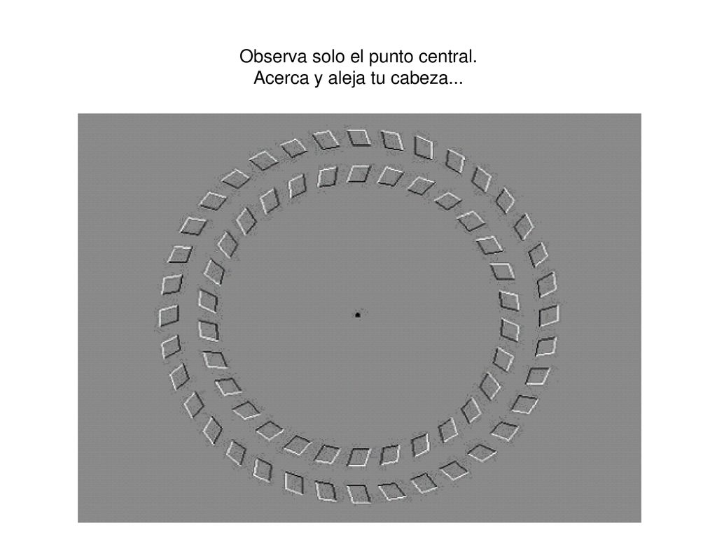 Observa solo el punto central. Acerca y aleja tu cabeza...