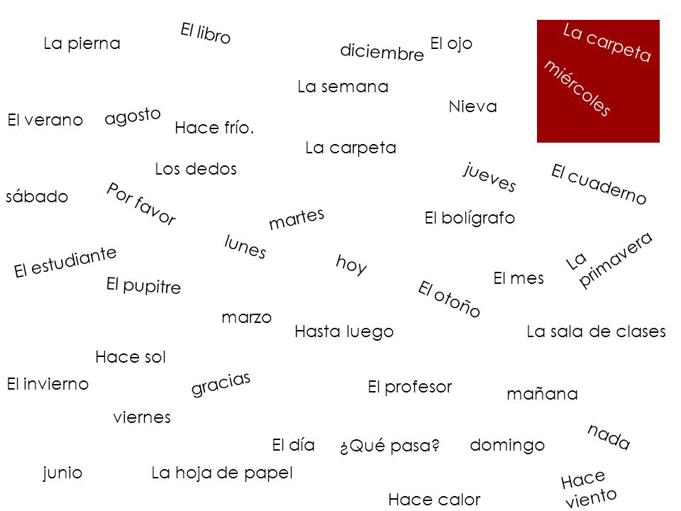 El libro La pierna. El ojo. La carpeta. diciembre. La semana. agosto. Nieva. miércoles. El verano.