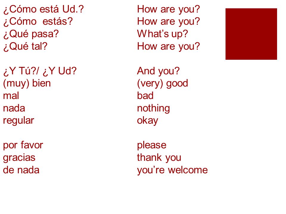 ¿Cómo está Ud. ¿Cómo estás. ¿Qué pasa. ¿Qué tal. ¿Y Tú. / ¿Y Ud