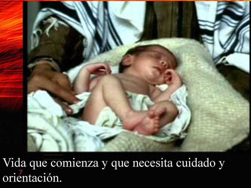 Vida que comienza y que necesita cuidado y orientación.
