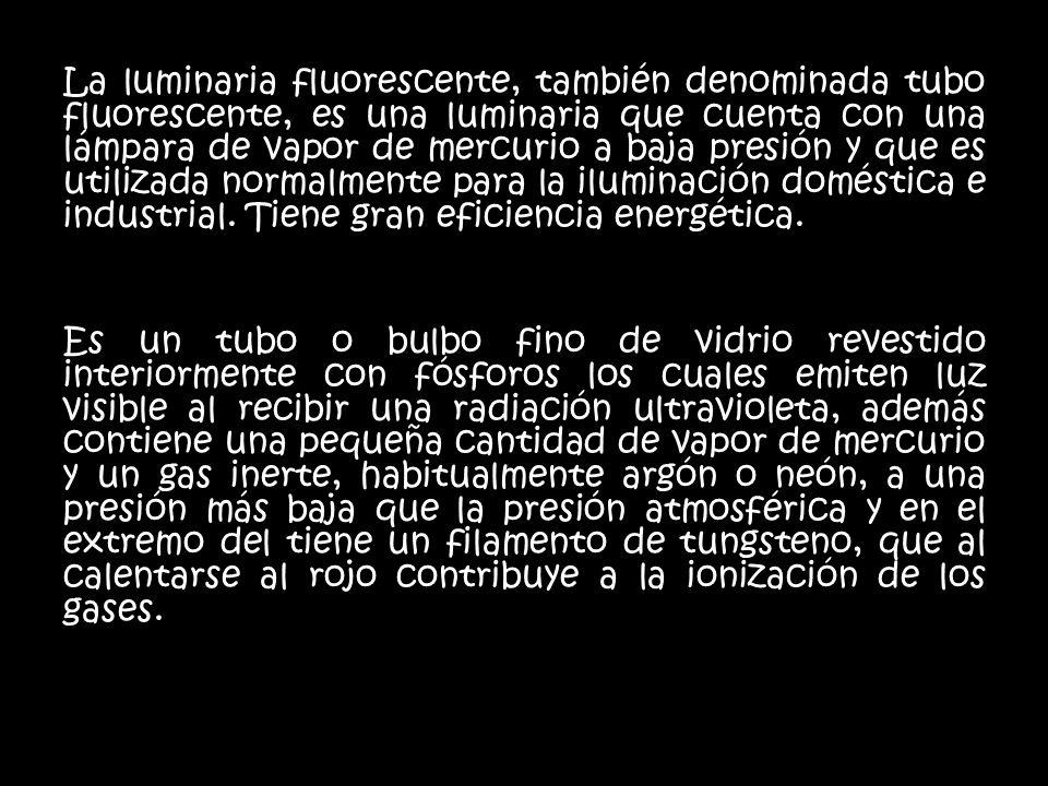 La luminaria fluorescente, también denominada tubo fluorescente, es una luminaria que cuenta con una lámpara de vapor de mercurio a baja presión y que es utilizada normalmente para la iluminación doméstica e industrial. Tiene gran eficiencia energética.
