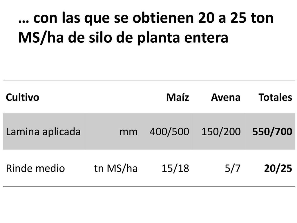 … con las que se obtienen 20 a 25 ton MS/ha de silo de planta entera