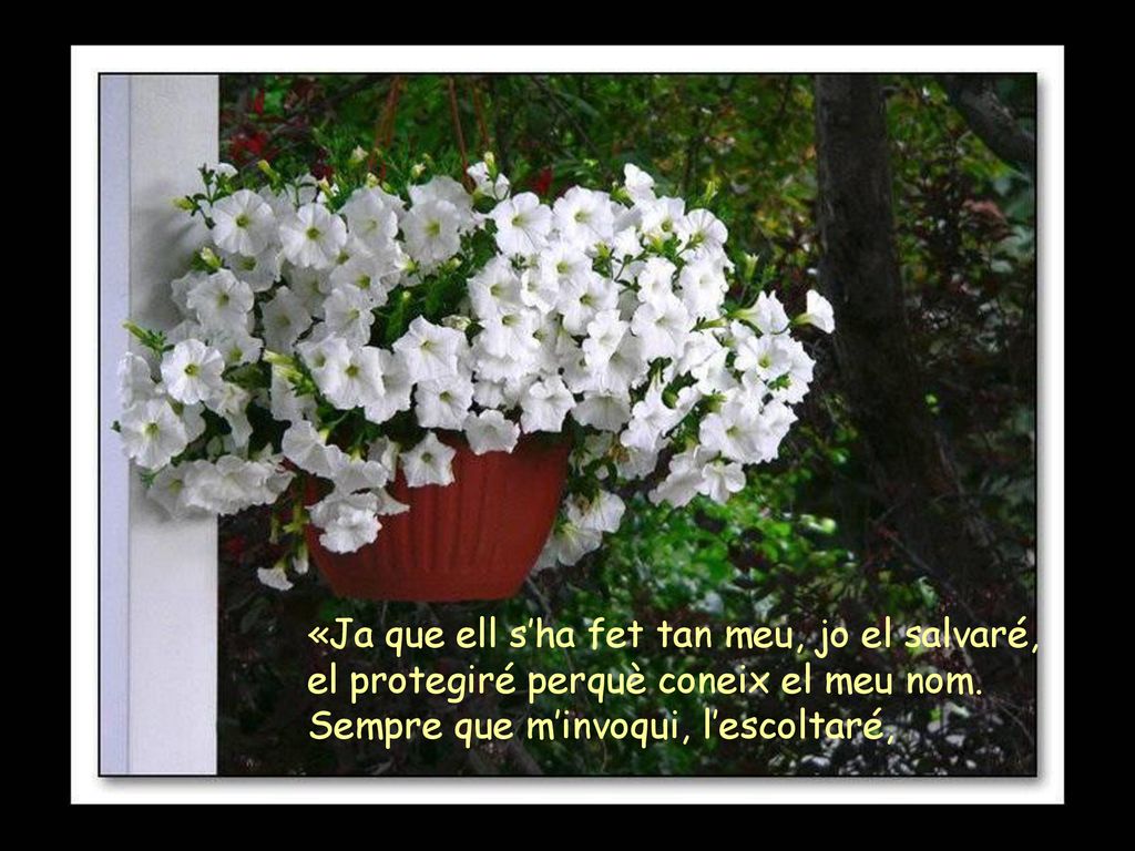 «Ja que ell s’ha fet tan meu, jo el salvaré,