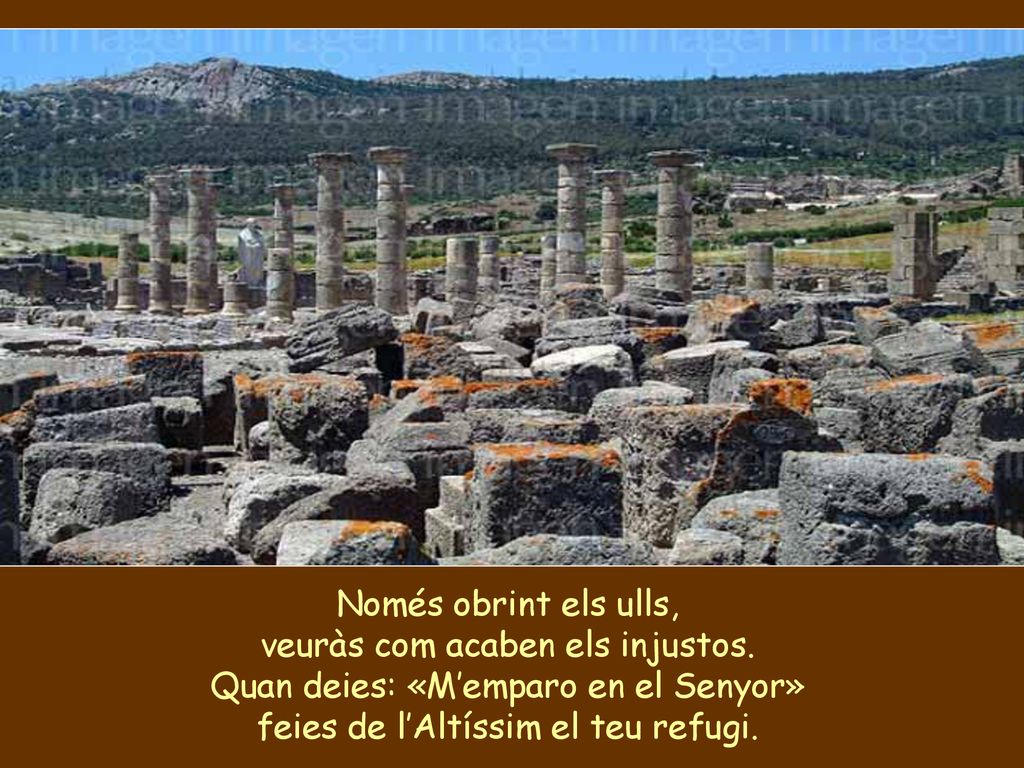 veuràs com acaben els injustos. Quan deies: «M’emparo en el Senyor»