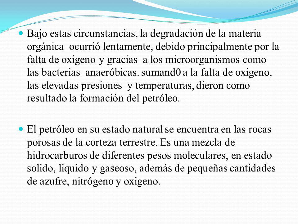 Bajo estas circunstancias, la degradación de la materia orgánica ocurrió lentamente, debido principalmente por la falta de oxigeno y gracias a los microorganismos como las bacterias anaeróbicas. sumand0 a la falta de oxigeno, las elevadas presiones y temperaturas, dieron como resultado la formación del petróleo.