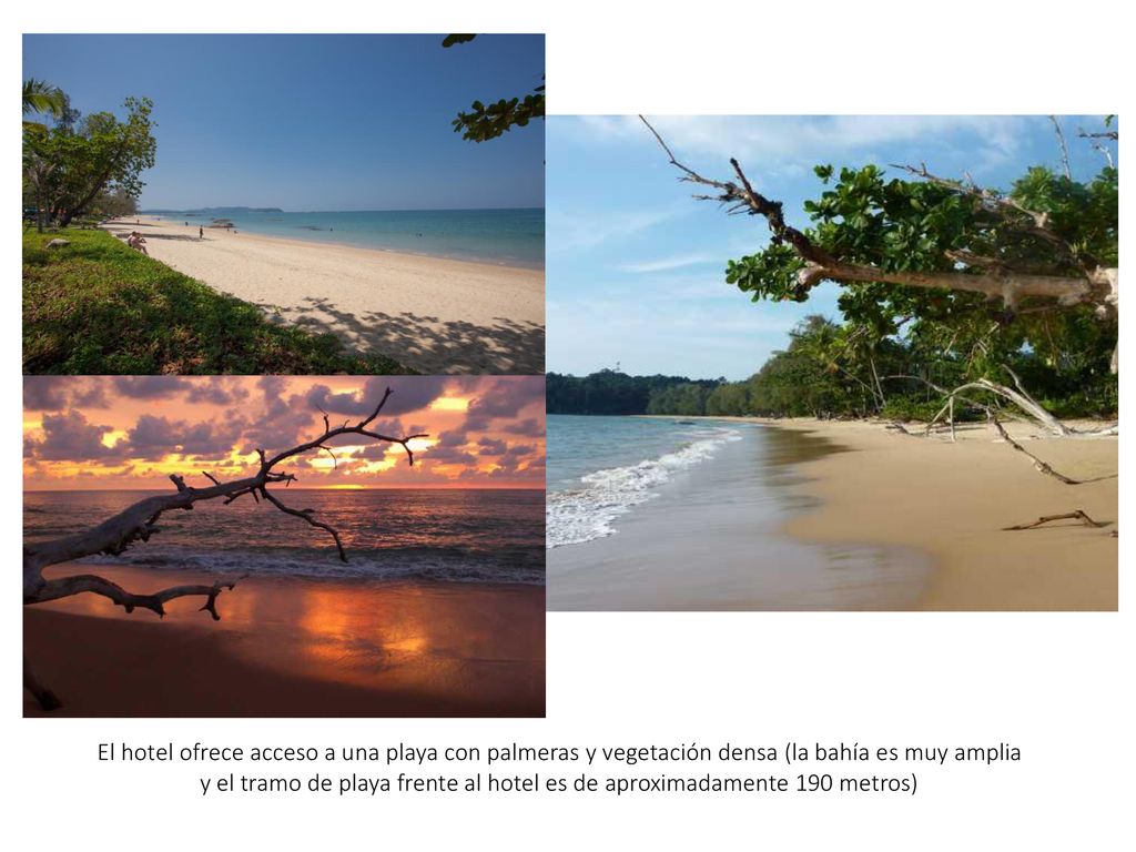 El hotel ofrece acceso a una playa con palmeras y vegetación densa (la bahía es muy amplia y el tramo de playa frente al hotel es de aproximadamente 190 metros)