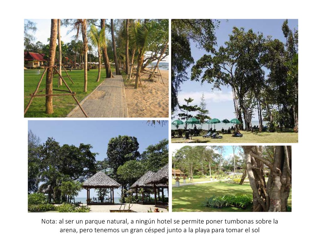 Nota: al ser un parque natural, a ningún hotel se permite poner tumbonas sobre la arena, pero tenemos un gran césped junto a la playa para tomar el sol