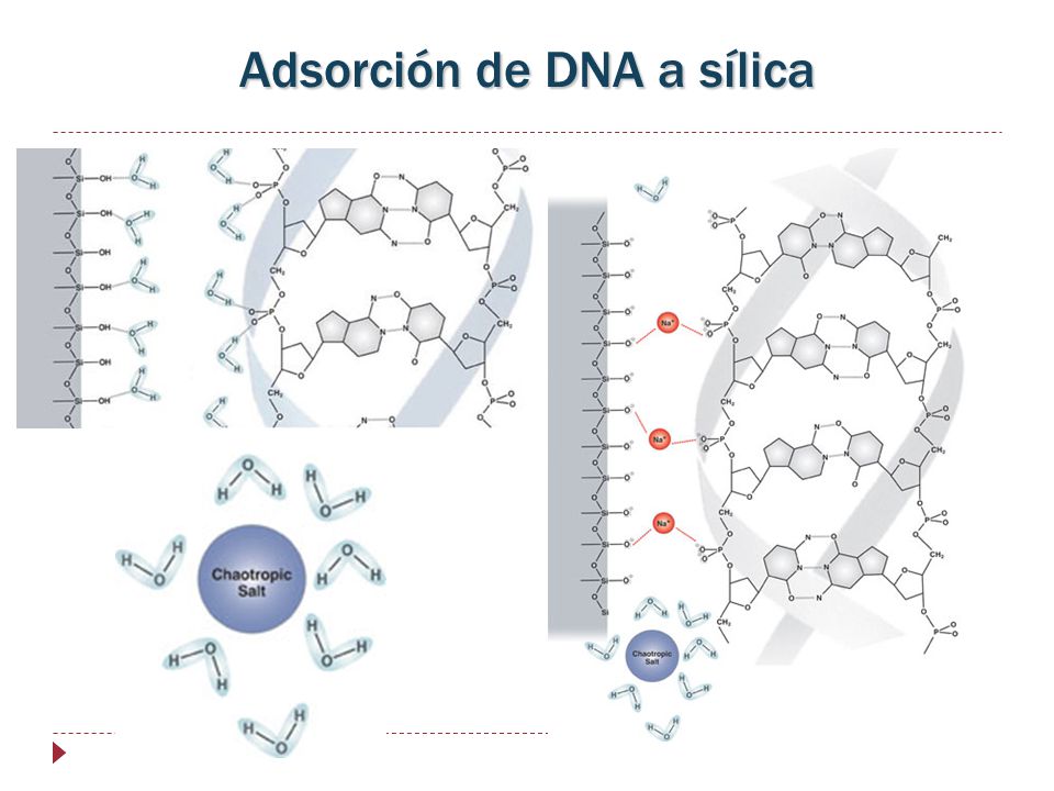 Adsorción de DNA a sílica