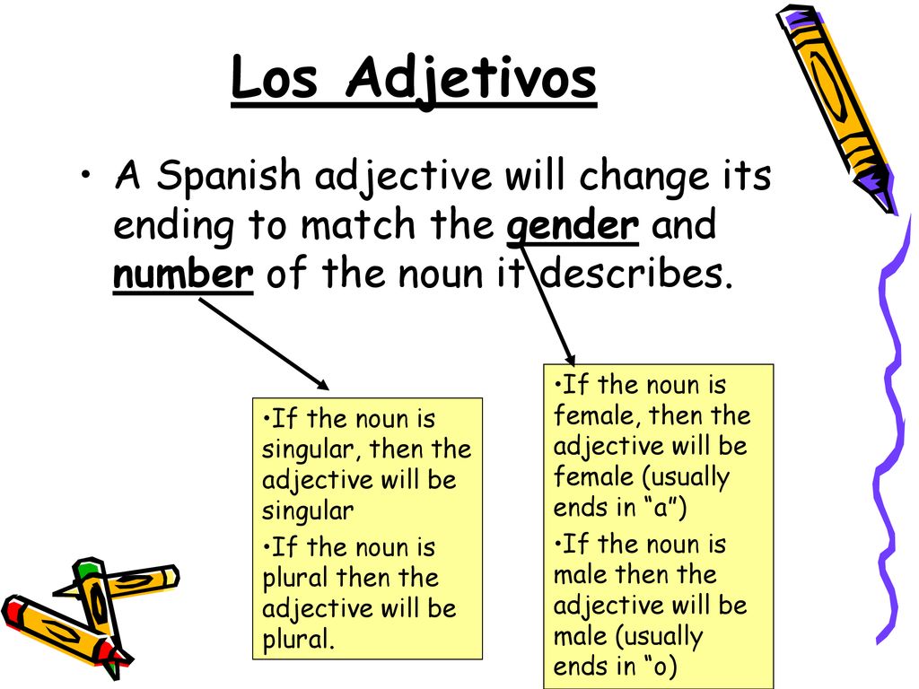 Los Adjetivos A Spanish adjective will change its ending to match the gender and number of the noun it describes.