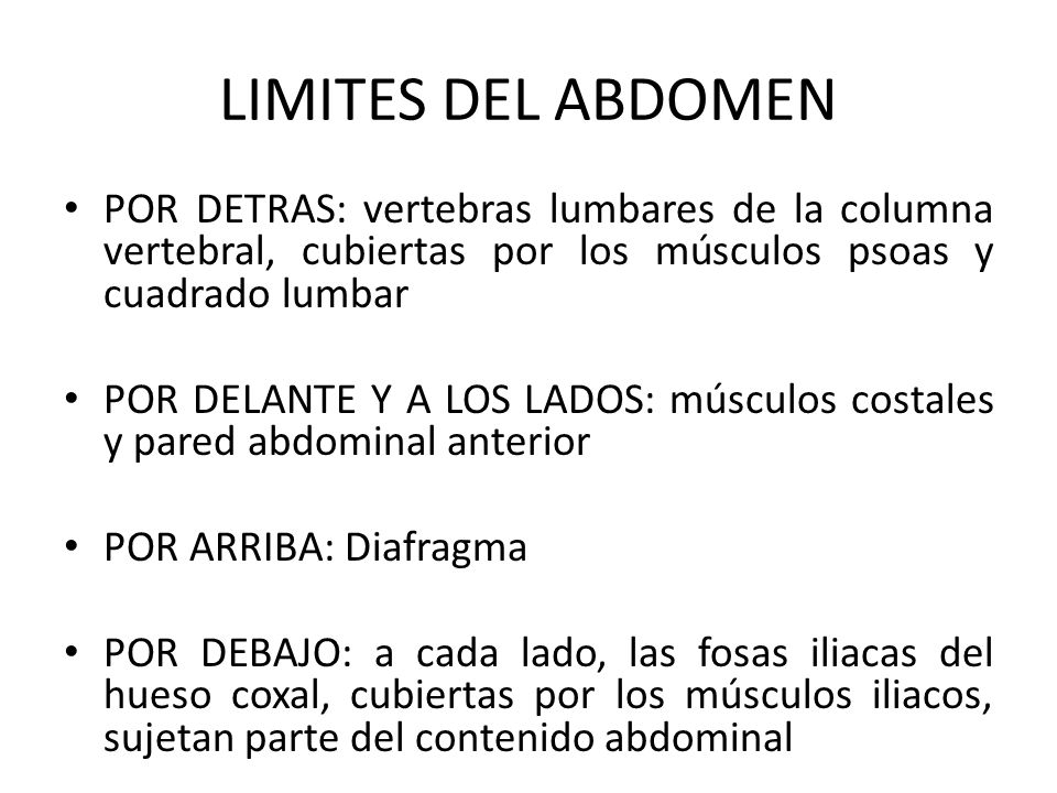 LIMITES DEL ABDOMEN POR DETRAS: vertebras lumbares de la columna vertebral, cubiertas por los músculos psoas y cuadrado lumbar.