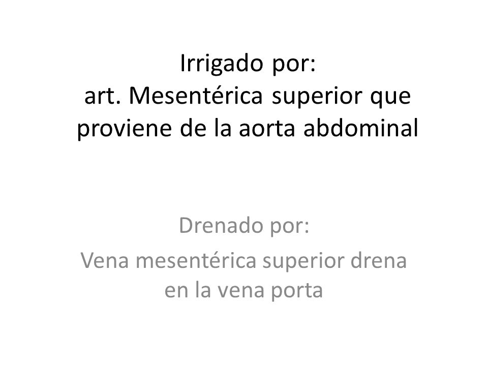 Drenado por: Vena mesentérica superior drena en la vena porta