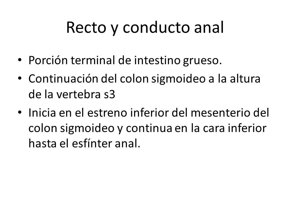 Recto y conducto anal Porción terminal de intestino grueso.