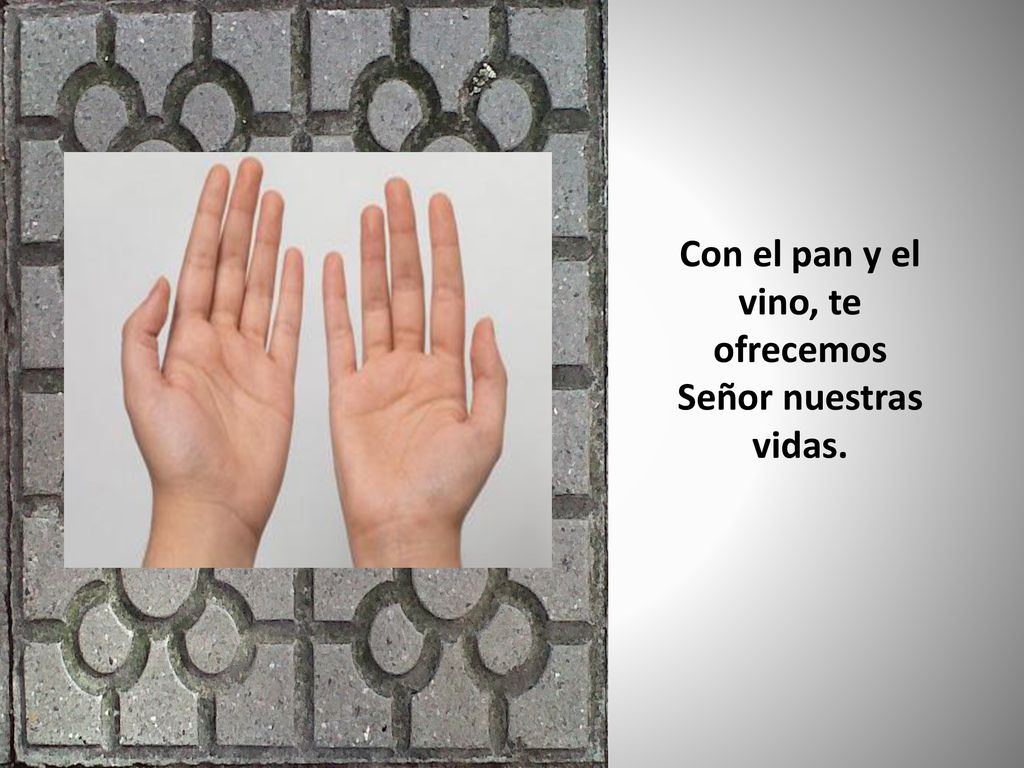 Con el pan y el vino, te ofrecemos Señor nuestras vidas.