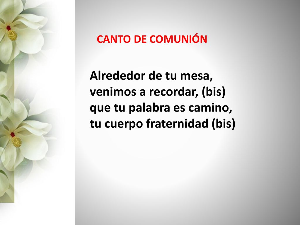 venimos a recordar, (bis) que tu palabra es camino,