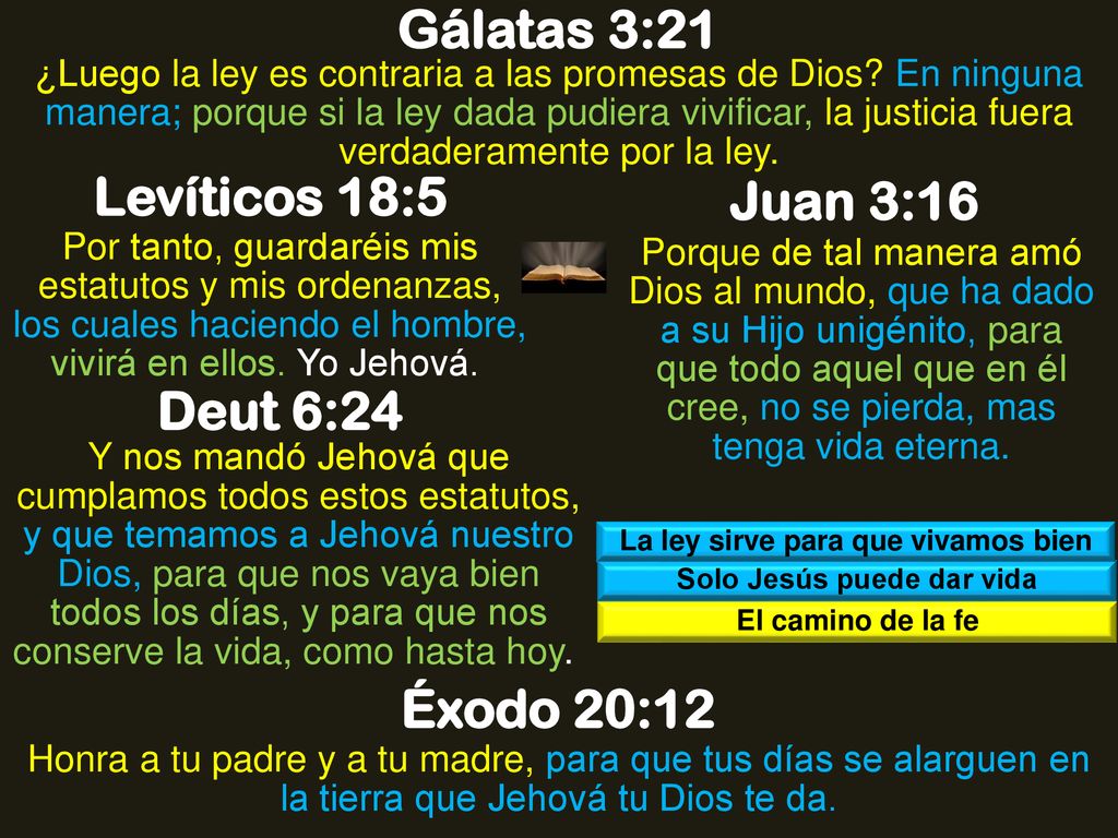 La ley sirve para que vivamos bien Solo Jesús puede dar vida