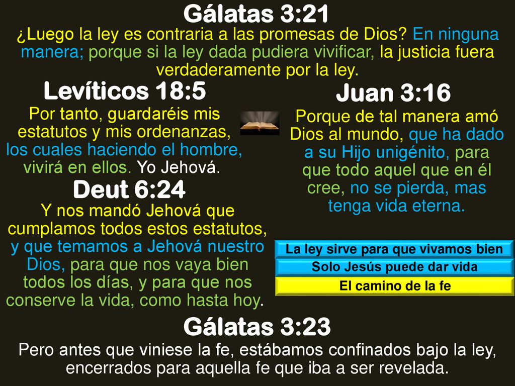 La ley sirve para que vivamos bien Solo Jesús puede dar vida
