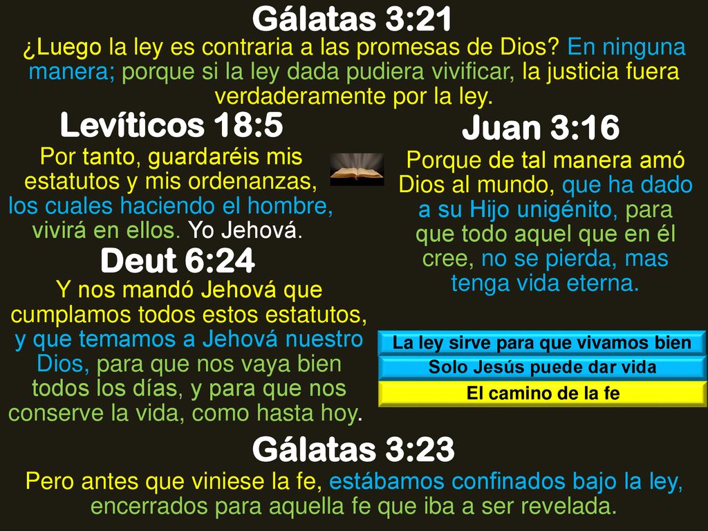 La ley sirve para que vivamos bien Solo Jesús puede dar vida