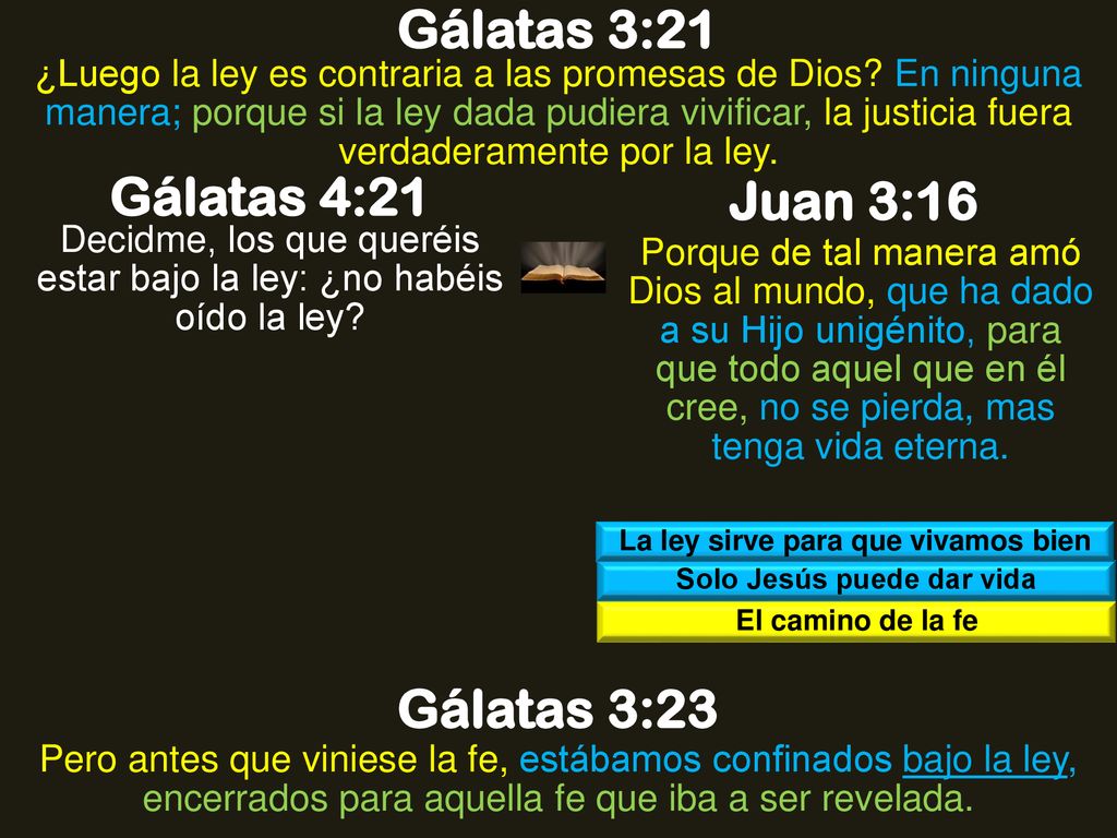 La ley sirve para que vivamos bien Solo Jesús puede dar vida