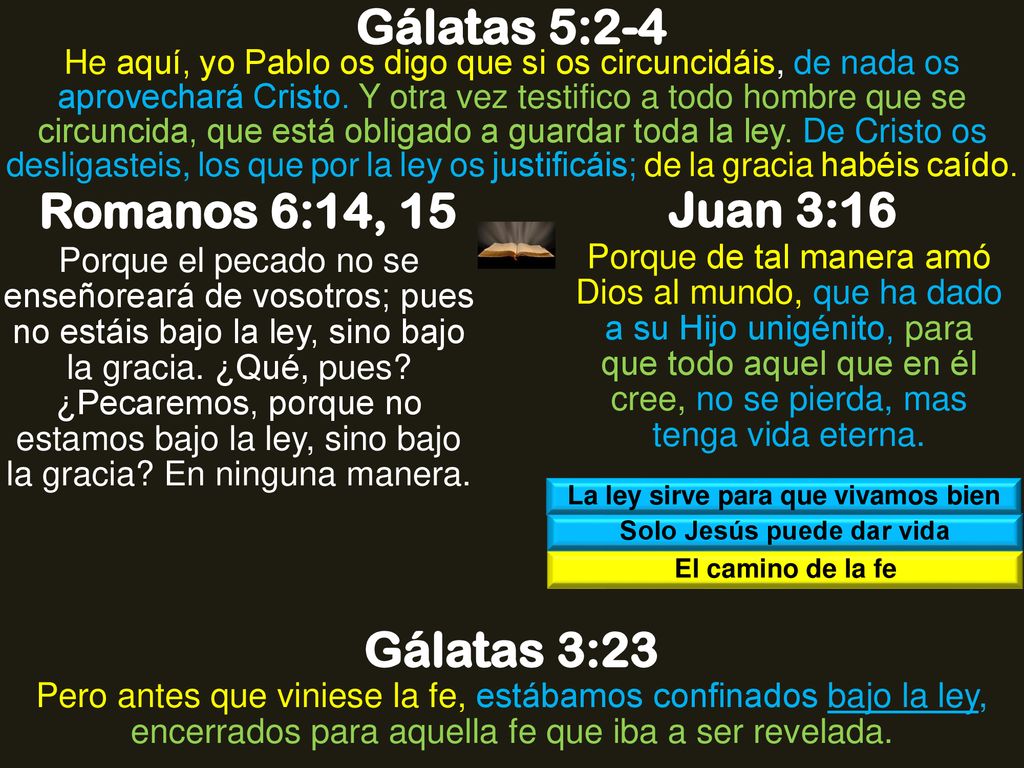 La ley sirve para que vivamos bien Solo Jesús puede dar vida