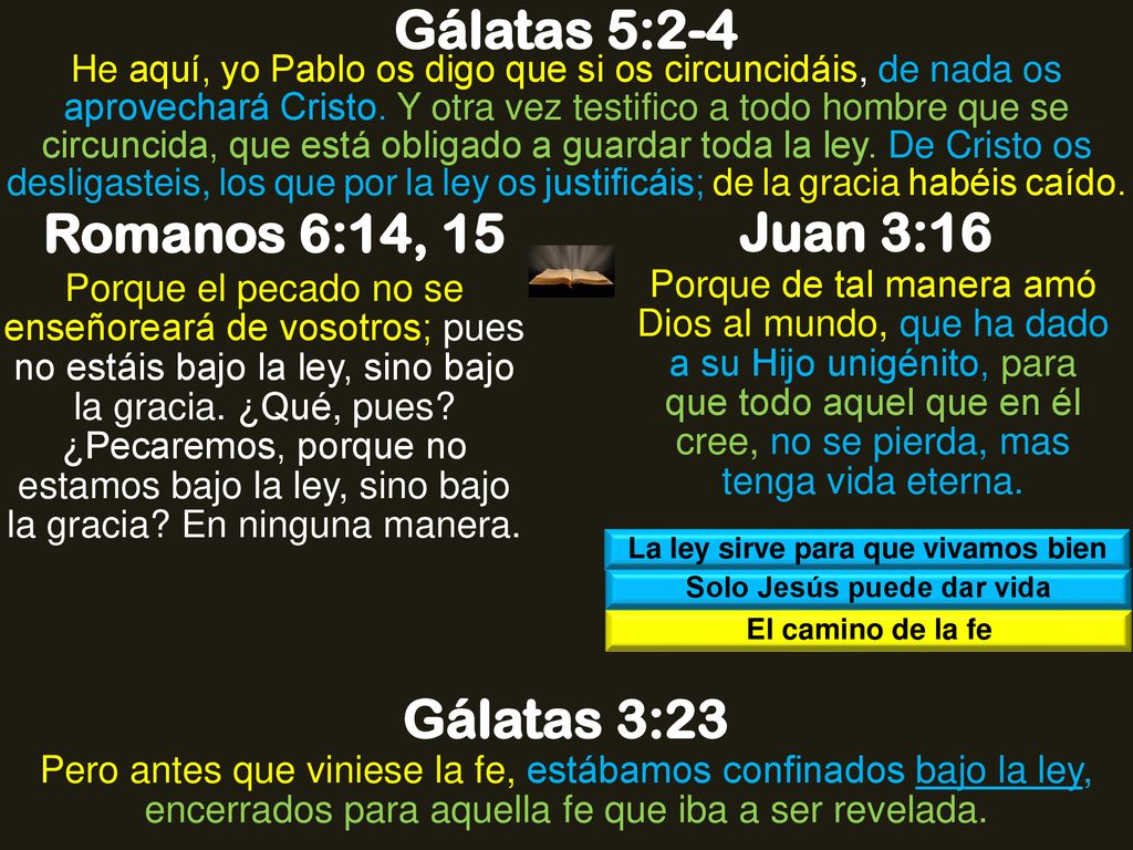 La ley sirve para que vivamos bien Solo Jesús puede dar vida