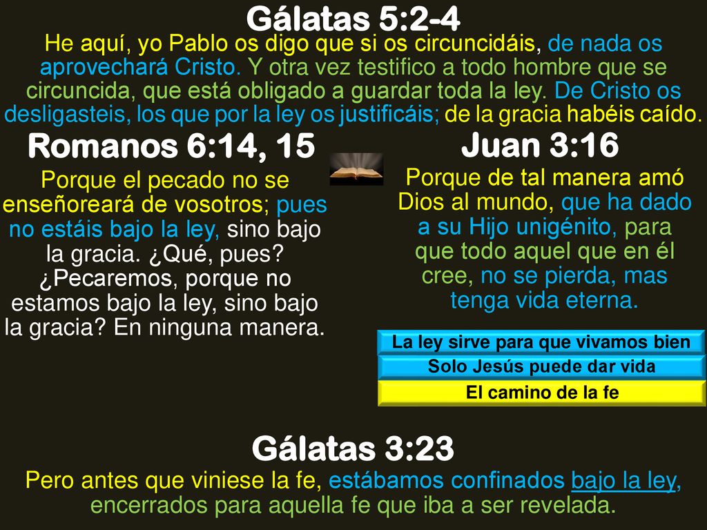 La ley sirve para que vivamos bien Solo Jesús puede dar vida