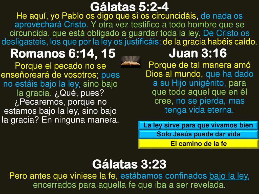 La ley sirve para que vivamos bien Solo Jesús puede dar vida