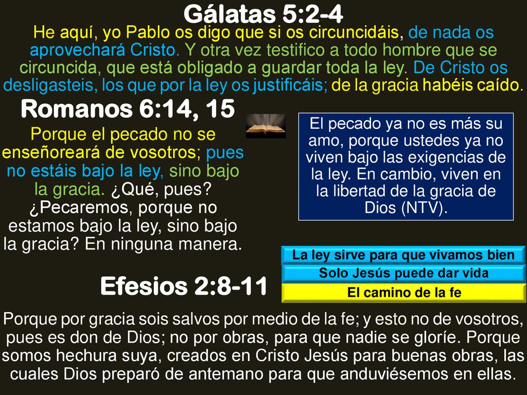 La ley sirve para que vivamos bien Solo Jesús puede dar vida