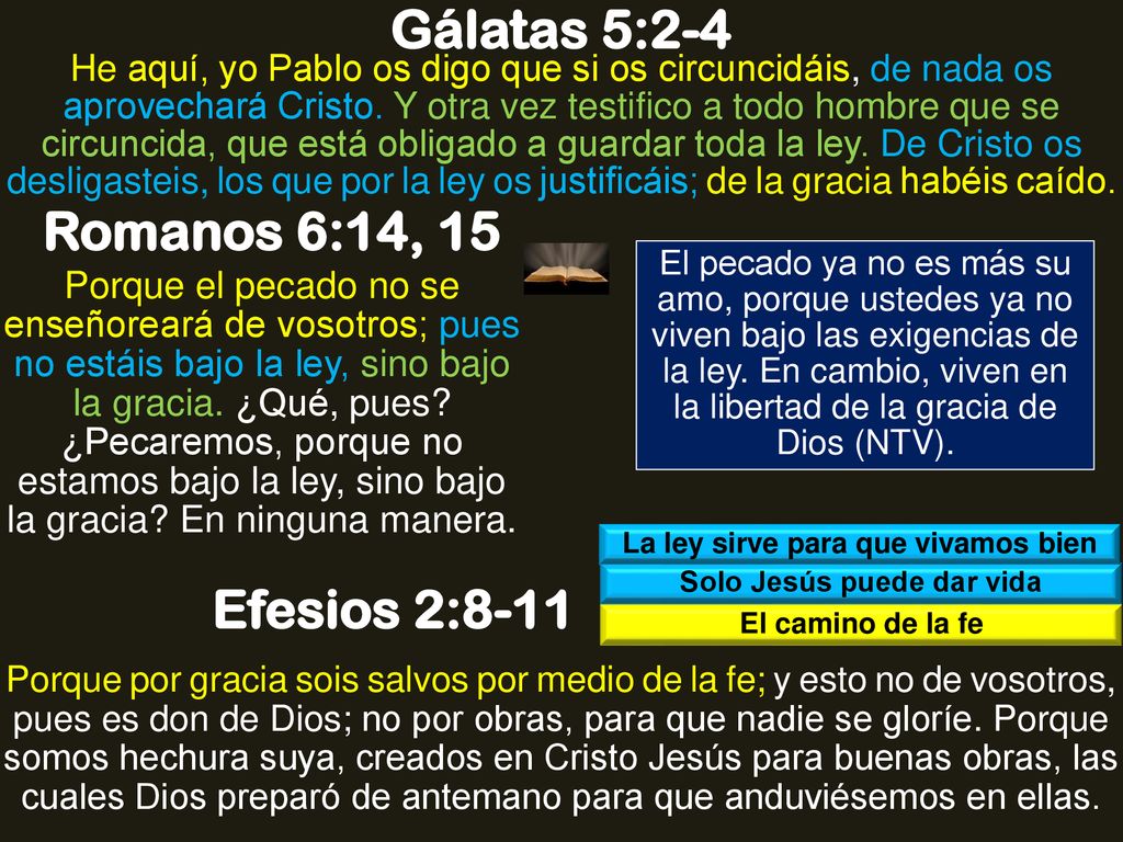 La ley sirve para que vivamos bien Solo Jesús puede dar vida