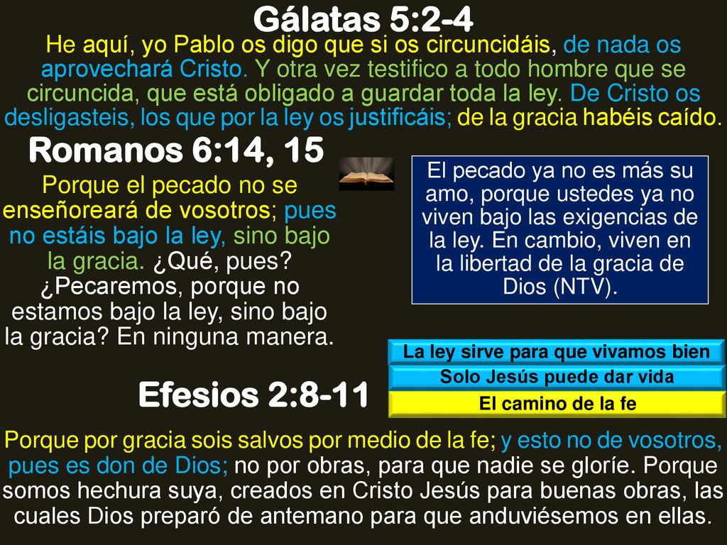 La ley sirve para que vivamos bien Solo Jesús puede dar vida