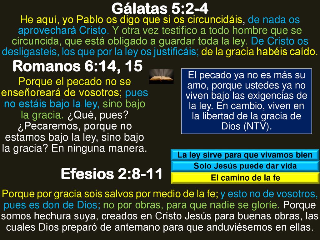 La ley sirve para que vivamos bien Solo Jesús puede dar vida