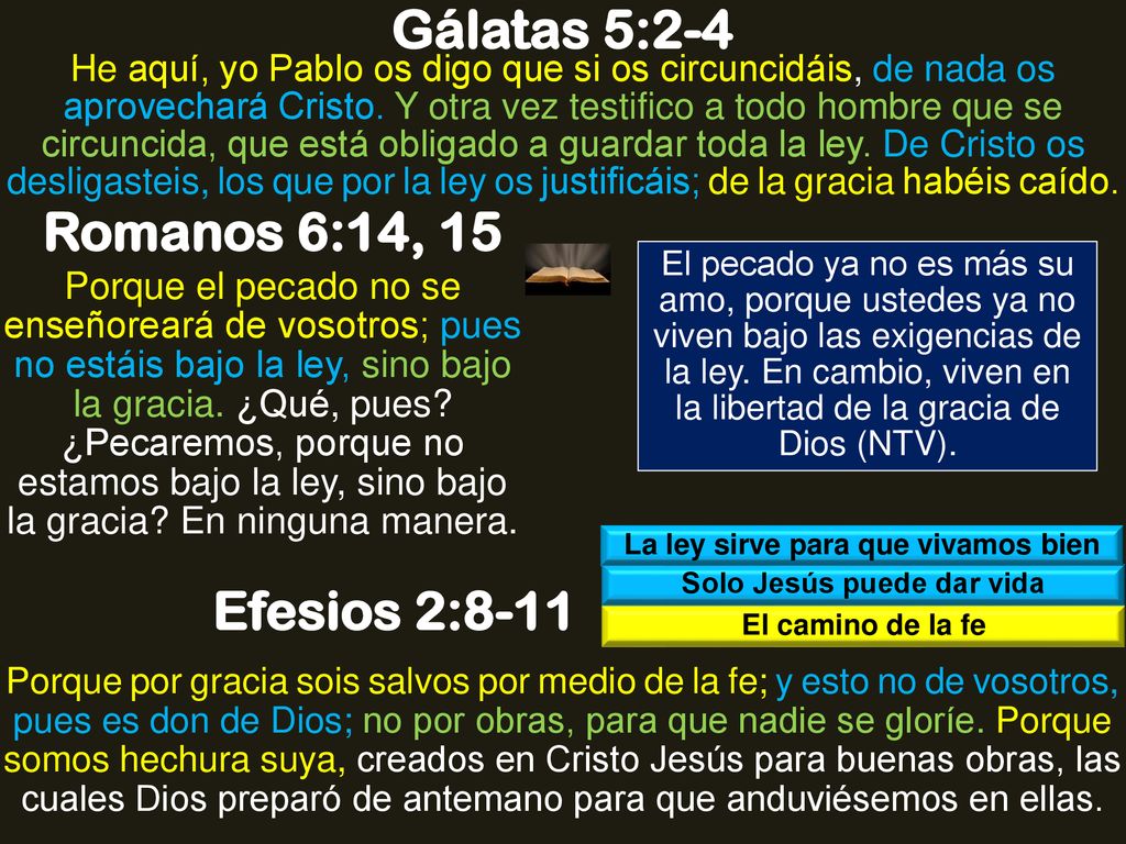 La ley sirve para que vivamos bien Solo Jesús puede dar vida