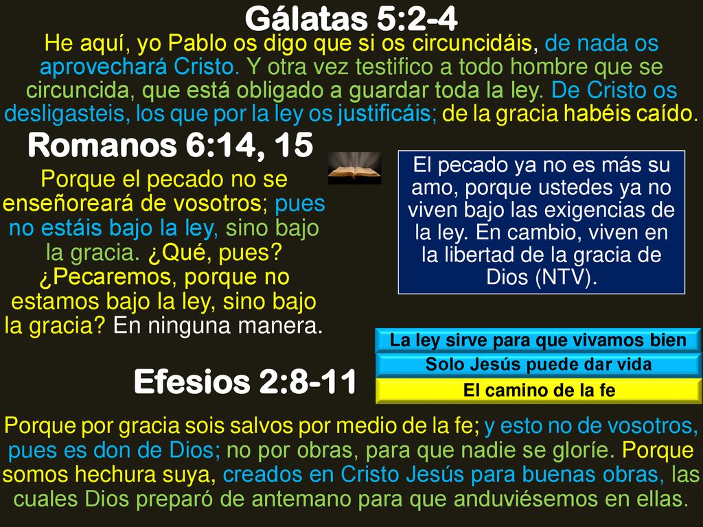 La ley sirve para que vivamos bien Solo Jesús puede dar vida