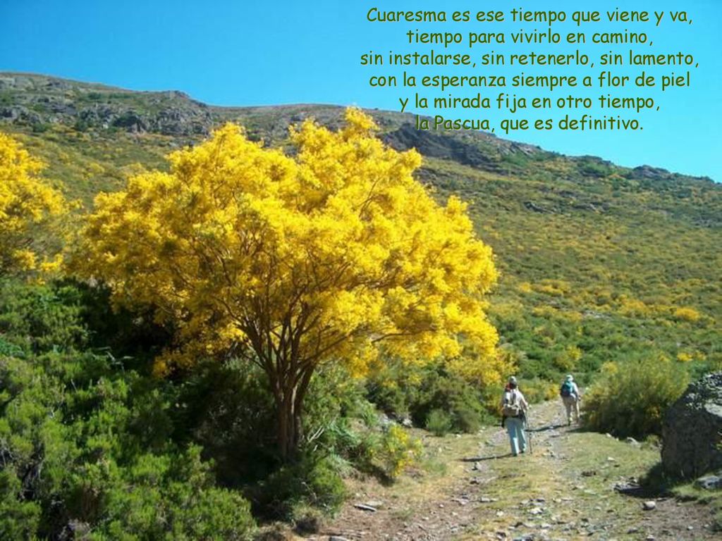 Cuaresma es ese tiempo que viene y va, tiempo para vivirlo en camino,
