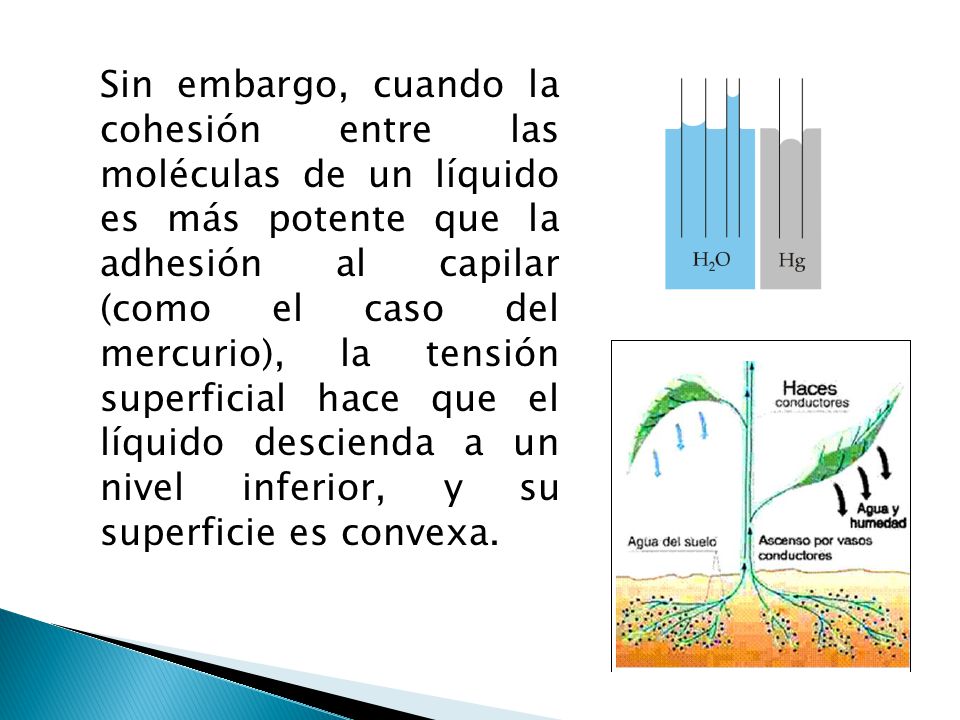 Sin embargo, cuando la cohesión entre las moléculas de un líquido es más potente que la adhesión al capilar (como el caso del mercurio), la tensión superficial hace que el líquido descienda a un nivel inferior, y su superficie es convexa.