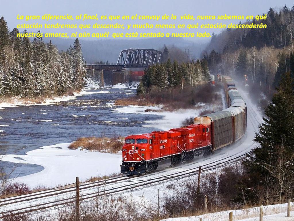 La gran diferencia, al final, es que en el convoy de la vida, nunca sabemos en qué estación tendremos que descender, y mucho menos en qué estación descenderán nuestros amores, ni aún aquél que está sentado a nuestro lado.