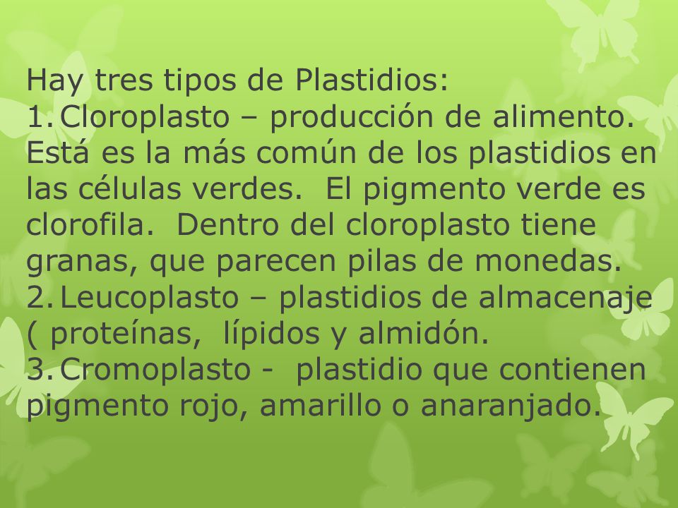Hay tres tipos de Plastidios: 1. Cloroplasto – producción de alimento