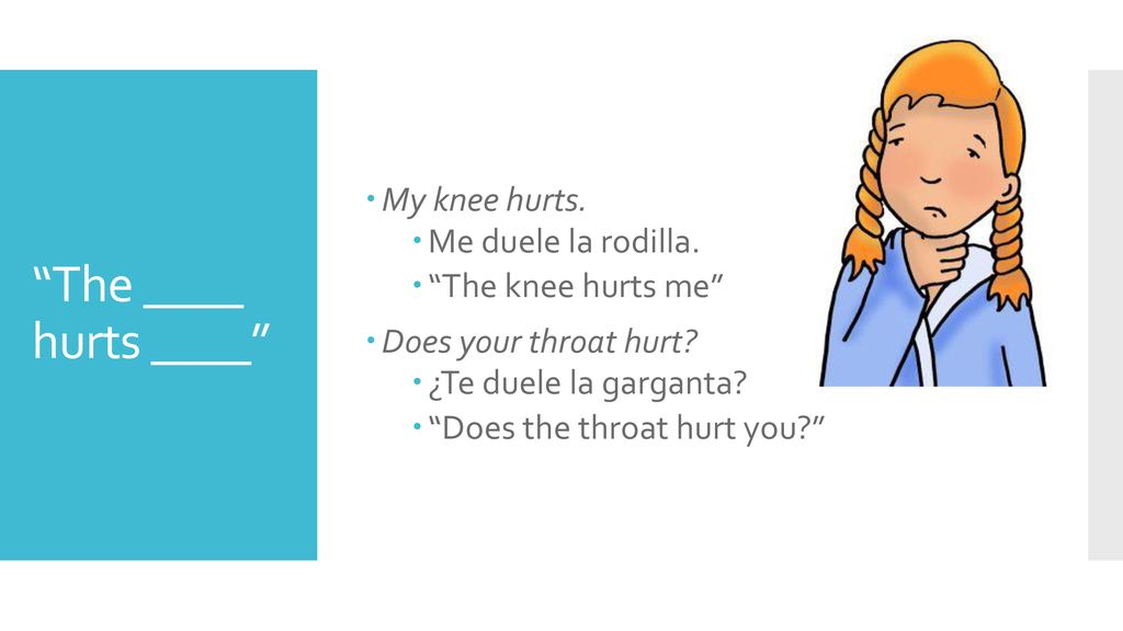 The ____ hurts ____ My knee hurts. Me duele la rodilla.